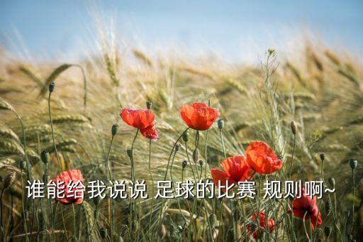誰(shuí)能給我說(shuō)說(shuō) 足球的比賽 規(guī)則啊~`