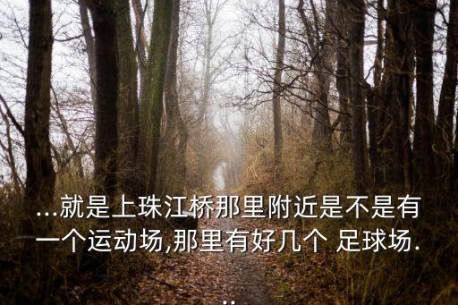 ...就是上珠江橋那里附近是不是有一個(gè)運(yùn)動(dòng)場,那里有好幾個(gè) 足球場...