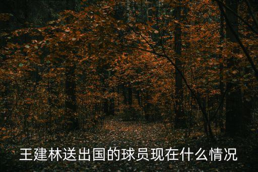 王建林送出國(guó)的球員現(xiàn)在什么情況