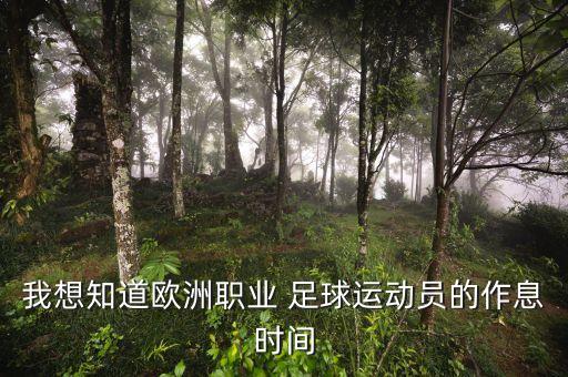 我想知道歐洲職業(yè) 足球運(yùn)動員的作息時間