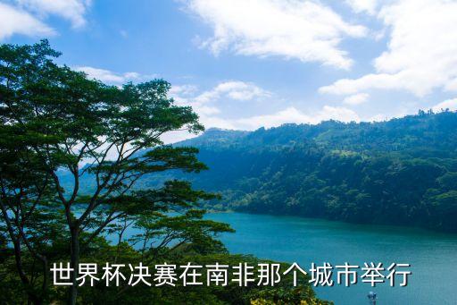  世界杯決賽在南非那個(gè)城市舉行