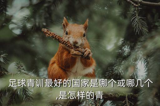  足球青訓(xùn)最好的國(guó)家是哪個(gè)或哪幾個(gè),是怎樣的青