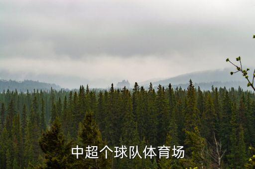 中超個(gè)球隊(duì)體育場(chǎng)