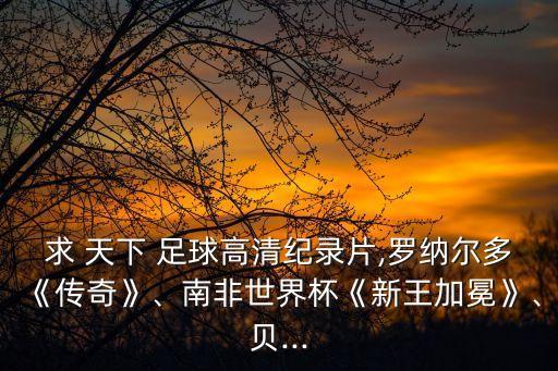 求 天下 足球高清紀(jì)錄片,羅納爾多《傳奇》、南非世界杯《新王加冕》、貝...