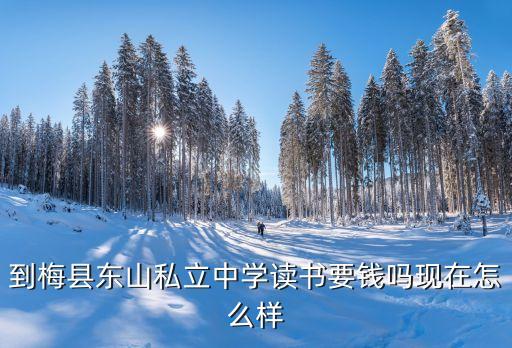 梅州市足球運動學(xué)校,大連足球運動學(xué)校費用