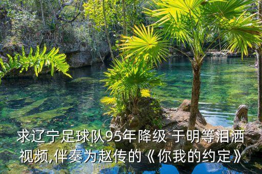 求遼寧足球隊95年降級 于明等淚灑視頻,伴奏為趙傳的《你我的約定》
