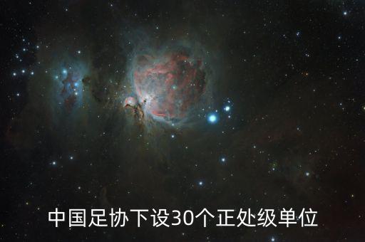 中國足協(xié)下設(shè)30個正處級單位