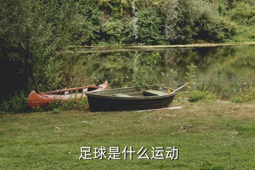  足球是什么運(yùn)動(dòng)