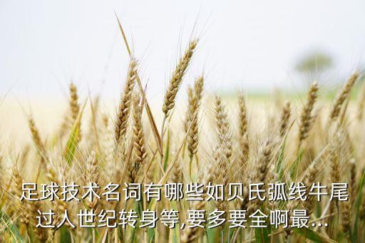  足球技術(shù)名詞有哪些如貝氏弧線牛尾過人世紀(jì)轉(zhuǎn)身等,要多要全啊最...