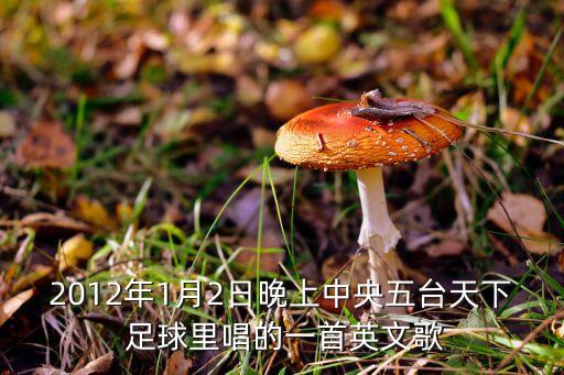 2012年1月2日晚上中央五臺(tái)天下 足球里唱的一首英文歌