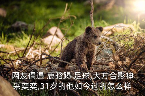 鹿晗偶像足球,鹿晗是足球二級(jí)運(yùn)動(dòng)員嗎