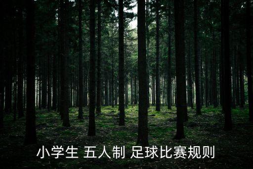 小學生 五人制 足球比賽規(guī)則