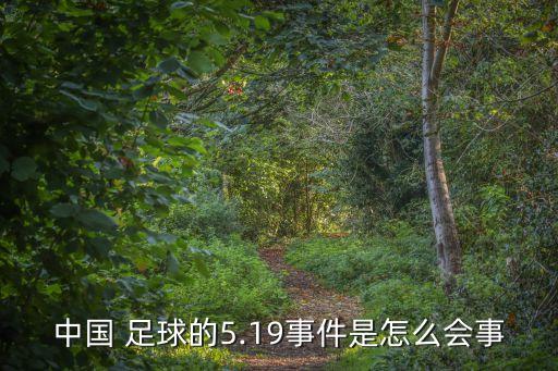 中國(guó) 足球的5.19事件是怎么會(huì)事