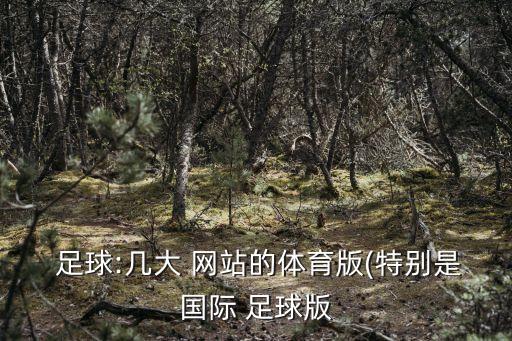  足球:幾大 網(wǎng)站的體育版(特別是國際 足球版