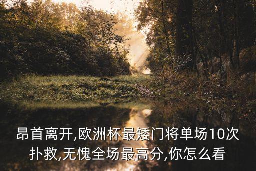 昂首離開,歐洲杯最矮門將單場10次撲救,無愧全場最高分,你怎么看