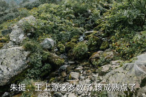 朱挺、王上源這歲數(shù)了,該成熟點(diǎn)了