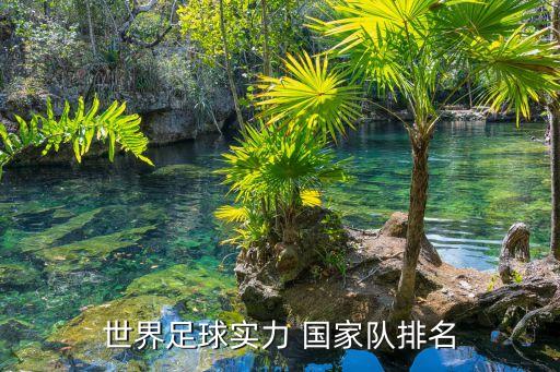 世界足球實力 國家隊排名