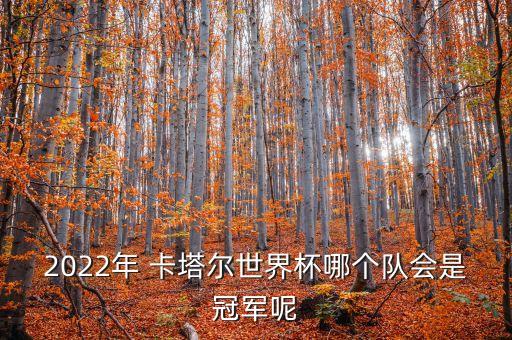 2022年 卡塔爾世界杯哪個隊(duì)會是冠軍呢