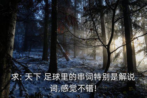 求: 天下 足球里的串詞特別是解說詞,感覺不錯(cuò)!