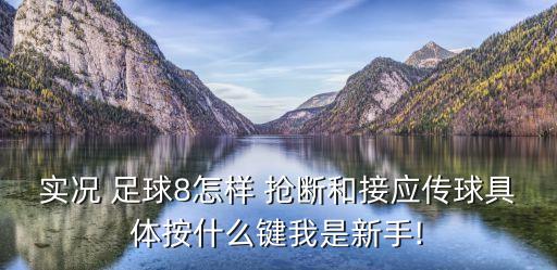 足球搶斷動作教學(xué),足球基礎(chǔ)過人動作教學(xué)視頻