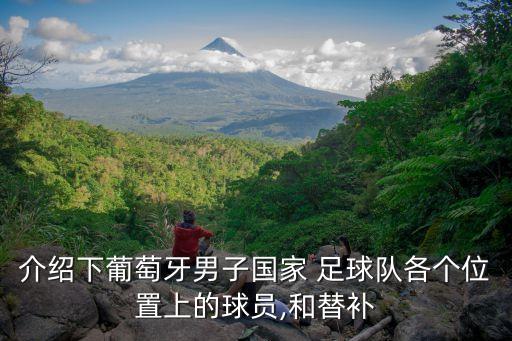介紹下葡萄牙男子國家 足球隊(duì)各個(gè)位置上的球員,和替補(bǔ)
