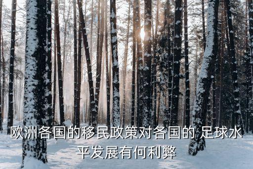 歐洲各國(guó)的移民政策對(duì)各國(guó)的 足球水平發(fā)展有何利弊