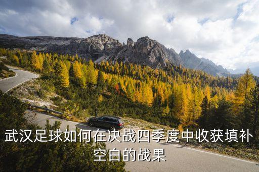 武漢足球如何在決戰(zhàn)四季度中收獲填補(bǔ)空白的戰(zhàn)果