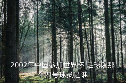 2002年中國參加世界杯 足球隊那個四號球員是誰