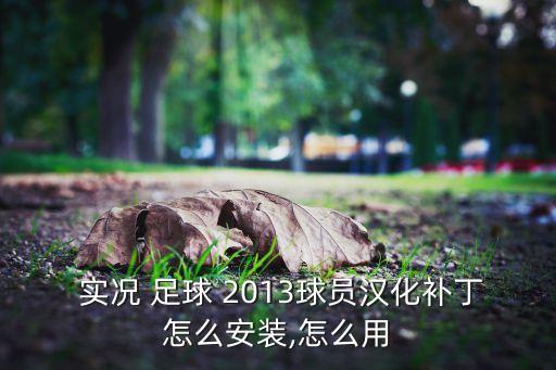  實(shí)況 足球 2013球員漢化補(bǔ)丁怎么安裝,怎么用