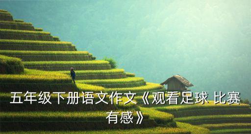 每次看中國足球隊(duì)比賽,我要看中國女子足球隊(duì)