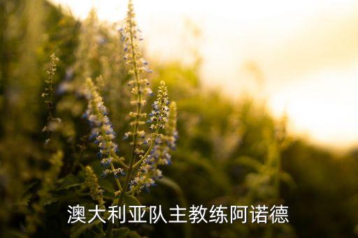 澳大利亞隊主教練阿諾德