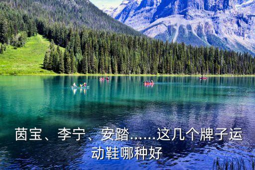  茵寶、李寧、安踏……這幾個牌子運動鞋哪種好