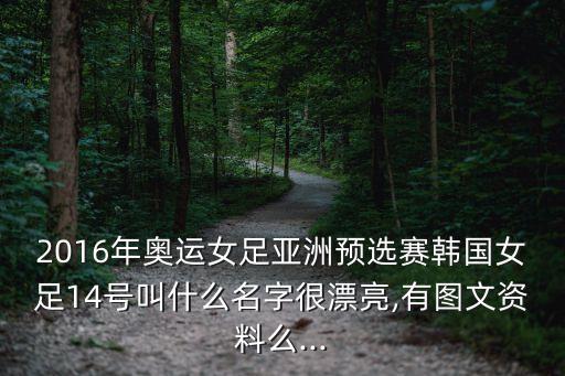 2016年奧運女足亞洲預(yù)選賽韓國女足14號叫什么名字很漂亮,有圖文資料么...