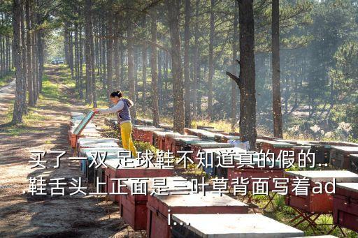 買(mǎi)了一雙 足球鞋不知道真的假的...鞋舌頭上正面是三葉草背面寫(xiě)著adi...