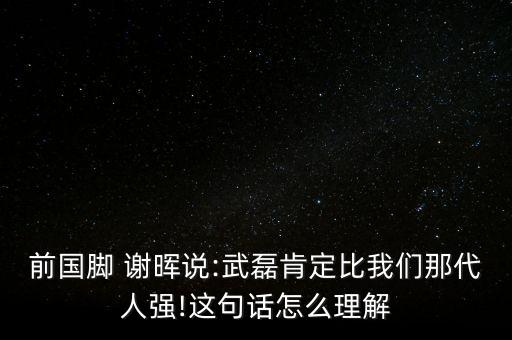 謝暉足球運(yùn)動(dòng)員,足球謝暉的簡介