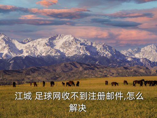  江城 足球網收不到注冊郵件,怎么解決