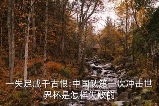 一失足成千古恨:中國(guó)隊(duì)第一次沖擊世界杯是怎樣失敗的
