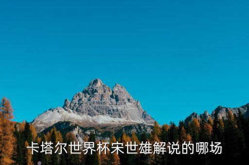 卡塔爾世界杯宋世雄解說的哪場(chǎng)