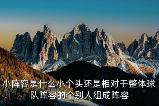 小陣容是什么小個頭還是相對于整體球隊(duì)陣容的個別人組成陣容