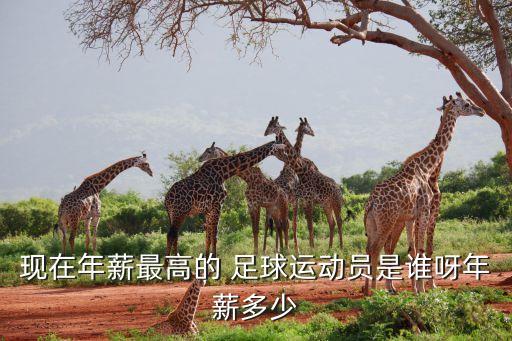 現(xiàn)在年薪最高的 足球運動員是誰呀年薪多少