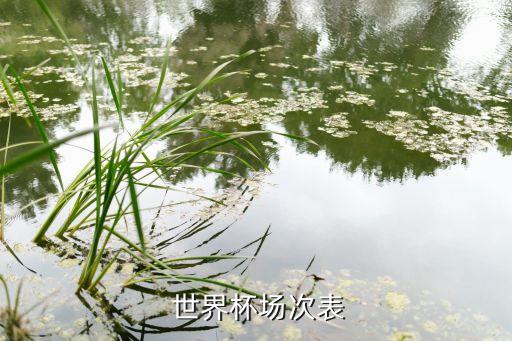  世界杯場(chǎng)次表