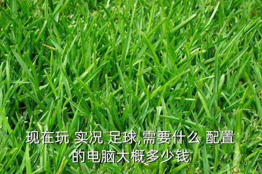 現(xiàn)在玩 實(shí)況 足球,需要什么 配置的電腦大概多少錢