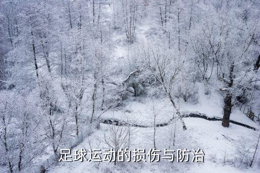  足球運動的損傷與防治