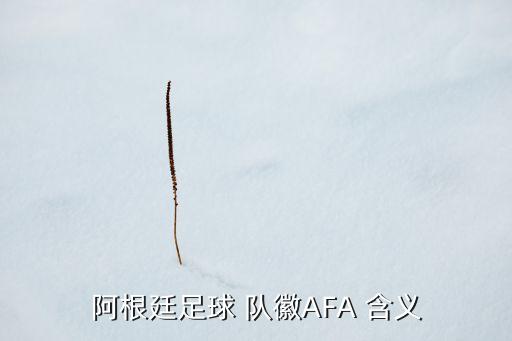 阿根廷足球 隊(duì)徽AFA 含義