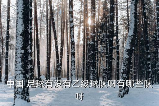 中國 足球有沒有乙級(jí)球隊(duì)呀有哪些隊(duì)呀