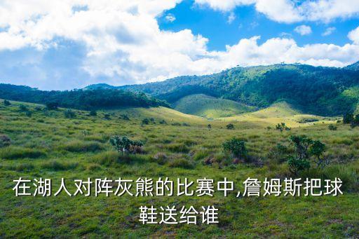 在湖人對(duì)陣灰熊的比賽中,詹姆斯把球鞋送給誰