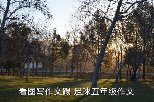 看圖寫(xiě)作文踢 足球五年級(jí)作文