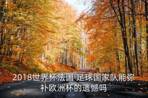 2018世界杯法國 足球國家隊(duì)能彌補(bǔ)歐洲杯的遺憾嗎