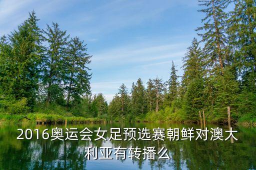 2016奧運會女足預(yù)選賽朝鮮對澳大利亞有轉(zhuǎn)播么