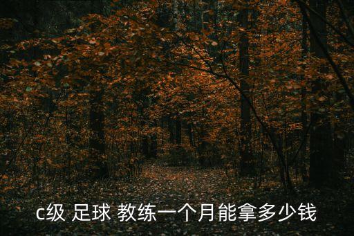 國家對小學(xué)足球教練的薪資待遇,小學(xué)足球青訓(xùn)教練薪資待遇